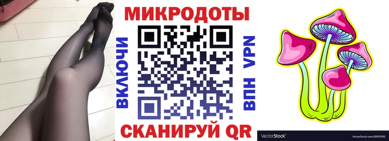Галлюциногенные грибы Psilocybine cubensis  Купить  Алупка 